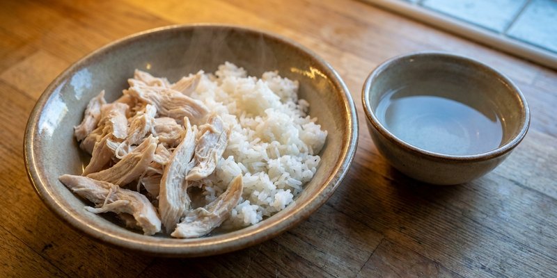 Cuenco de pollo hervido y arroz junto a un bol de agua en el suelo