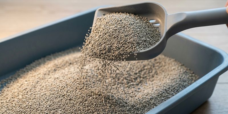 scoop lifting clay litter
