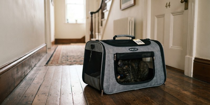 grey pet carrier on