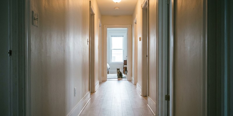 cat sitting in corridor