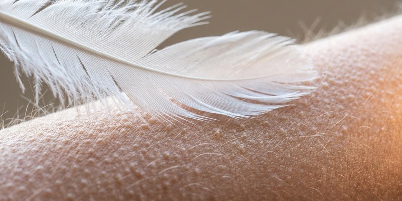 feather touching human skin