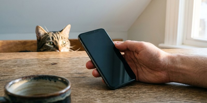 Una mano sostiene un móvil apagado sobre la mesa mientras un gato observa desde el borde