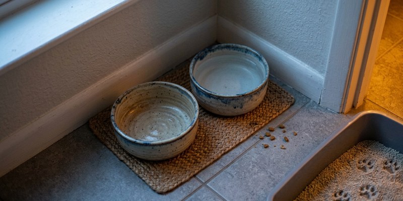 pet bowls on mat