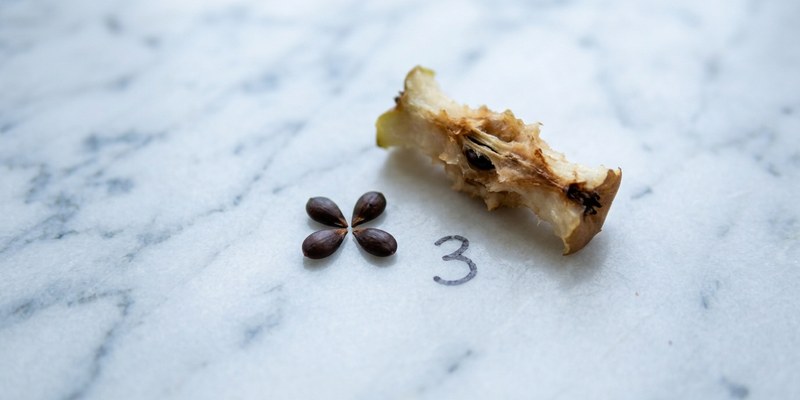 four pear seeds on