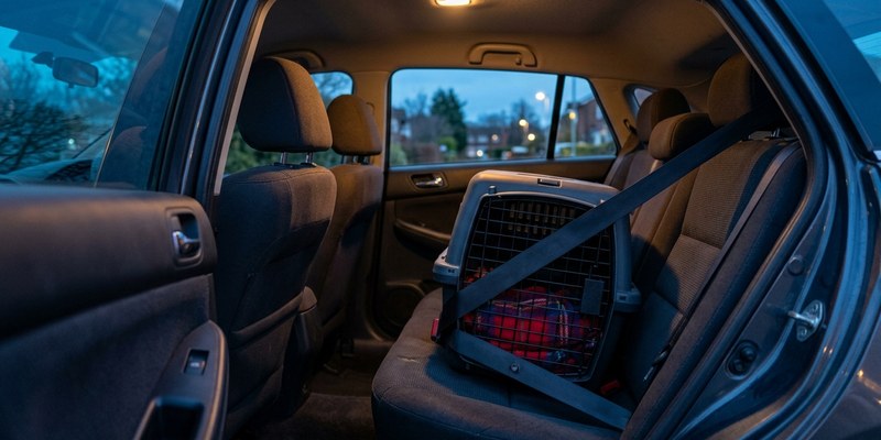 pet carrier in car