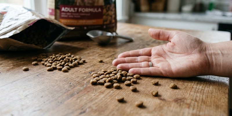kibble scattered beside open